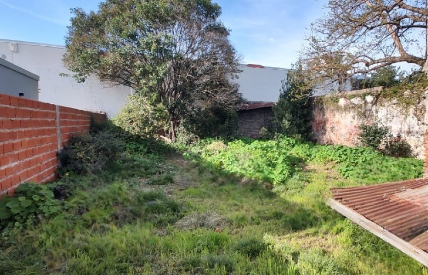 LOTE DE 11,69MTS DE FRENTE X 39.65MTS DE FONDO. SUPERFICIE TOTAL DE 464M2. 